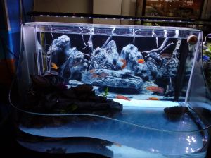 3D Aquarium 