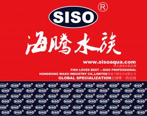 花地湾新店开张生意兴隆 位于C89B