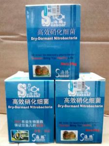 Nitrogen powder 