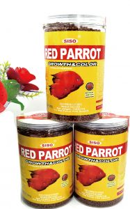 RED PARROT COLOUR ENHANCE 