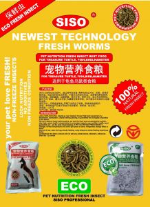 新型饲料 非冷冻保鲜虫