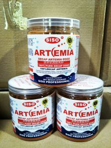 DECAP ARTEMIA  FOR FISH 