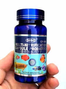 MULTI-NITROBATERIFICATION CAPSULE PROBIOTICS 