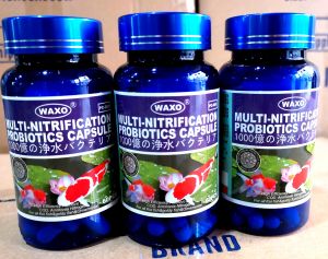 MULTI-NITROBATERIFICATION CAPSULE PROBIOTICS(FOR KOI ) 