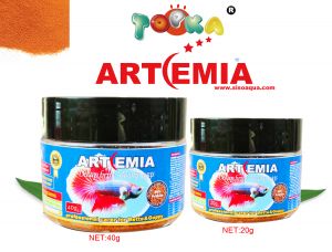 DECAP BRINE SHRIMP EGGS 