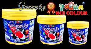 Gosanke premium Nishikigoi Food 